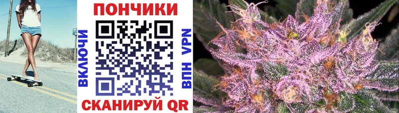 Каннабис ГИДРОПОН  где продают   Шимановск 